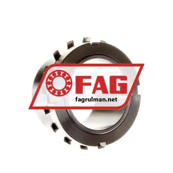 FAG H313X204
