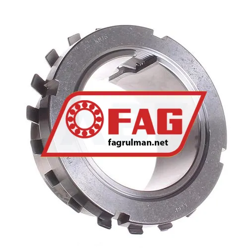 FAG H216