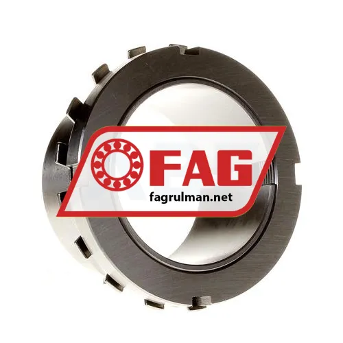 FAG H318-304