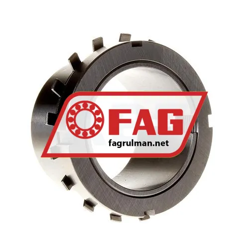 FAG H317-300