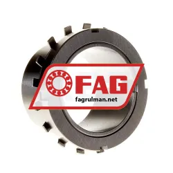 FAG H317-300