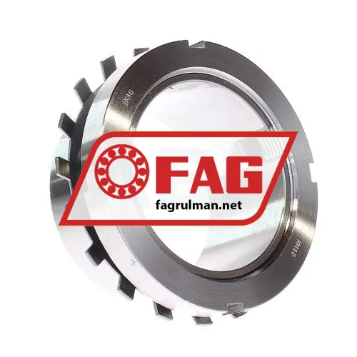 FAG H217-300