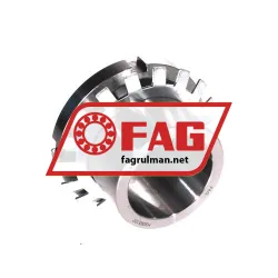 FAG H309X107 rulman resim 3