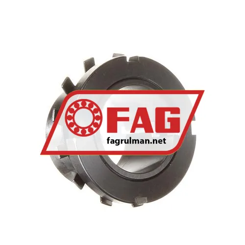 FAG H309X108
