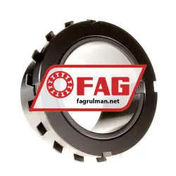 FAG H319X304
