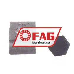 FAG MS3160