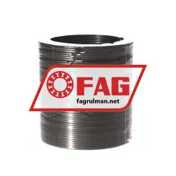 FAG RG DIN5417-SP 75