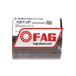 FAG RG DIN5417-SP 75 rulman resim 2
