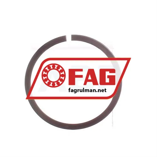 FAG SP55
