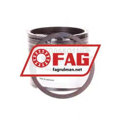 FAG RGDIN5417-SP55