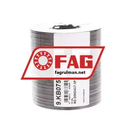 FAG RGDIN5417-SP75