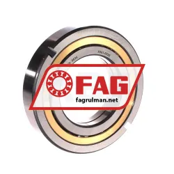 FAG QJ213-XL-N2-MPA rulman resim 2