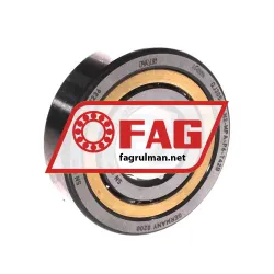 FAG QJ305-XL-N2-MPA-P6-T42B