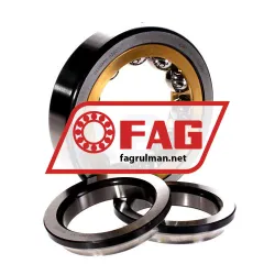 FAG QJ312-XL-N2-MPA-T42A rulman resim 4