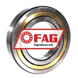 FAG QJ220-N2-MPA-C4