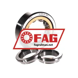 FAG QJ305-XL-MPA rulman resim 2