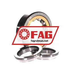 FAG QJ310-XL-MPA-T42A rulman resim 2