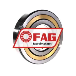 FAG QJ319-N2-MPA-T42A rulman resim 2