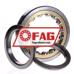 FAG QJ220-N2-MPA