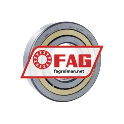 FAG QJ315-N2-MPA