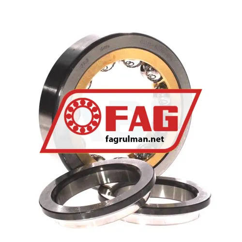 FAG QJ313-XL-N2-MPA