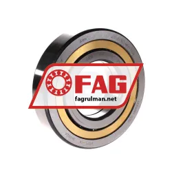 FAG QJ313-XL-MPA-T42A
