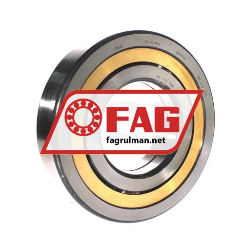 FAG QJ319-N2-MPA