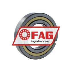 FAG QJ213-XL-N2-MPA-F59-C4 rulman resim 2