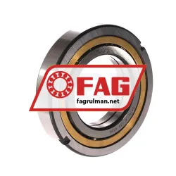 FAG QJ212-N2-MPA-F59-C4 rulman resim 2