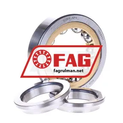 FAG QJ309MPA