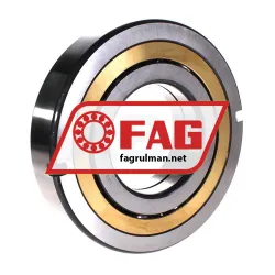 FAG QJ320-N2-MPA-T42A rulman resim 2