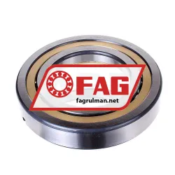 FAG QJ220N2MPA