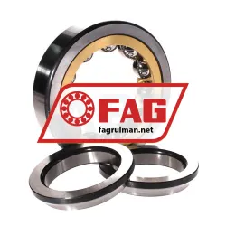 FAG QJ313-MPA-T42A rulman resim 2