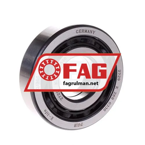 FAG QJ305TVP