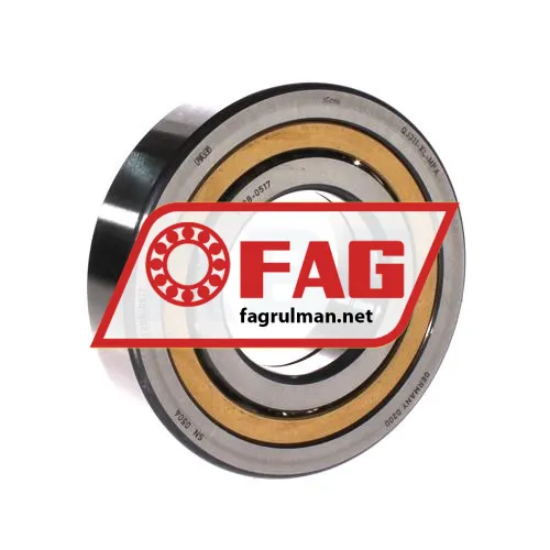 FAG QJ311-XL-MPA