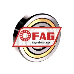 FAG QJ310MPA-T42A rulman resim 2