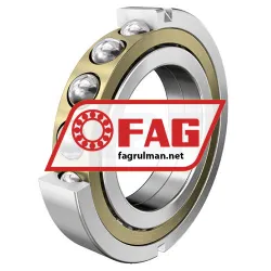 FAG QJ1022-N2-MPA-F59-C4 rulman resim 5