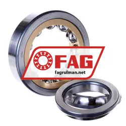FAG QJ313-XL-MPA