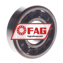 FAG E20TVP