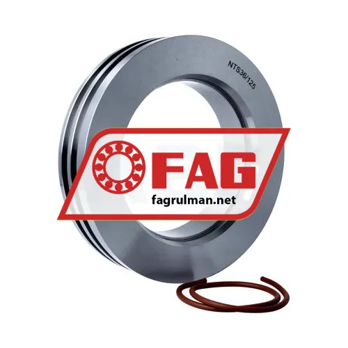 FAG NTS36/125