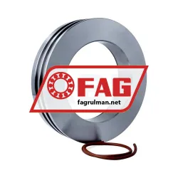 FAG NTS36/125 rulman resim 2