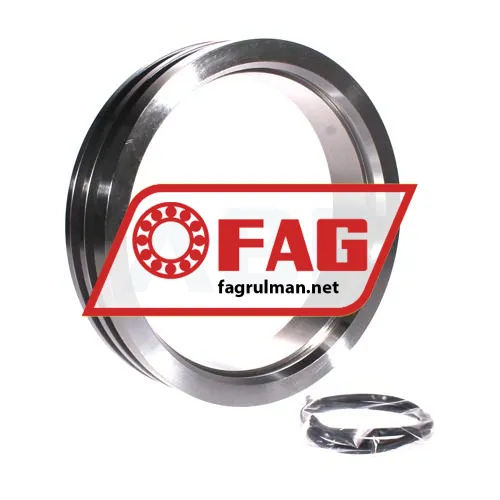 FAG NTS36