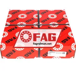 FAG NTS44 rulman resim 4