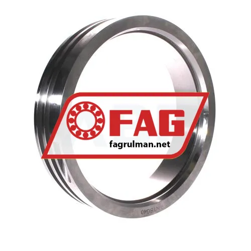 FAG NTSG40