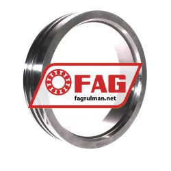 FAG NTSG40