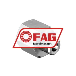 FAG ARCALUB-C1-NIPPLE-M10-G1/4 rulman resim 3
