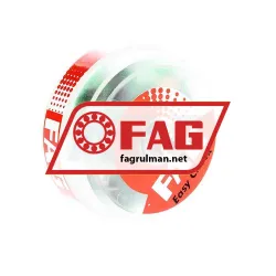 FAG FIS-EASYCHECK-V1
