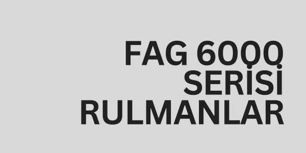 Fag 6000 Serisi
